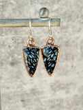 Spotted Petrified Wood Earrings