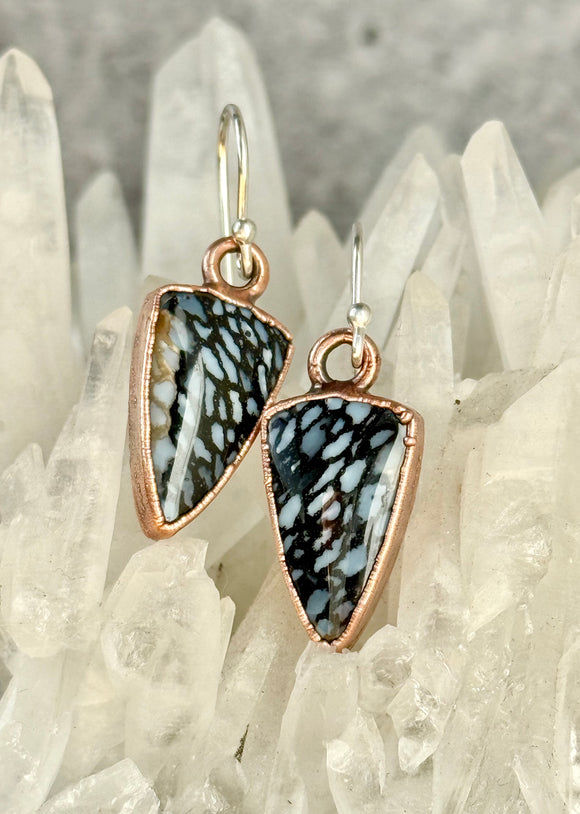 Spotted Petrified Wood Earrings