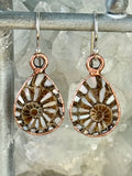 Ammonite & Mother of Pearl Earrings