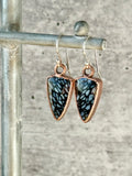 Spotted Petrified Wood Earrings